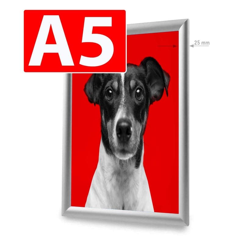 Click Frame Standard Silver