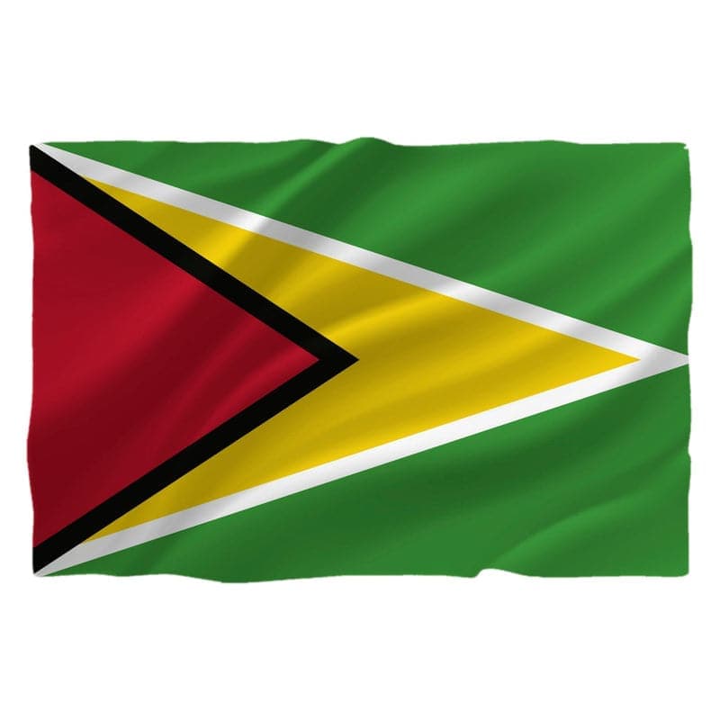 Drapel Guyana